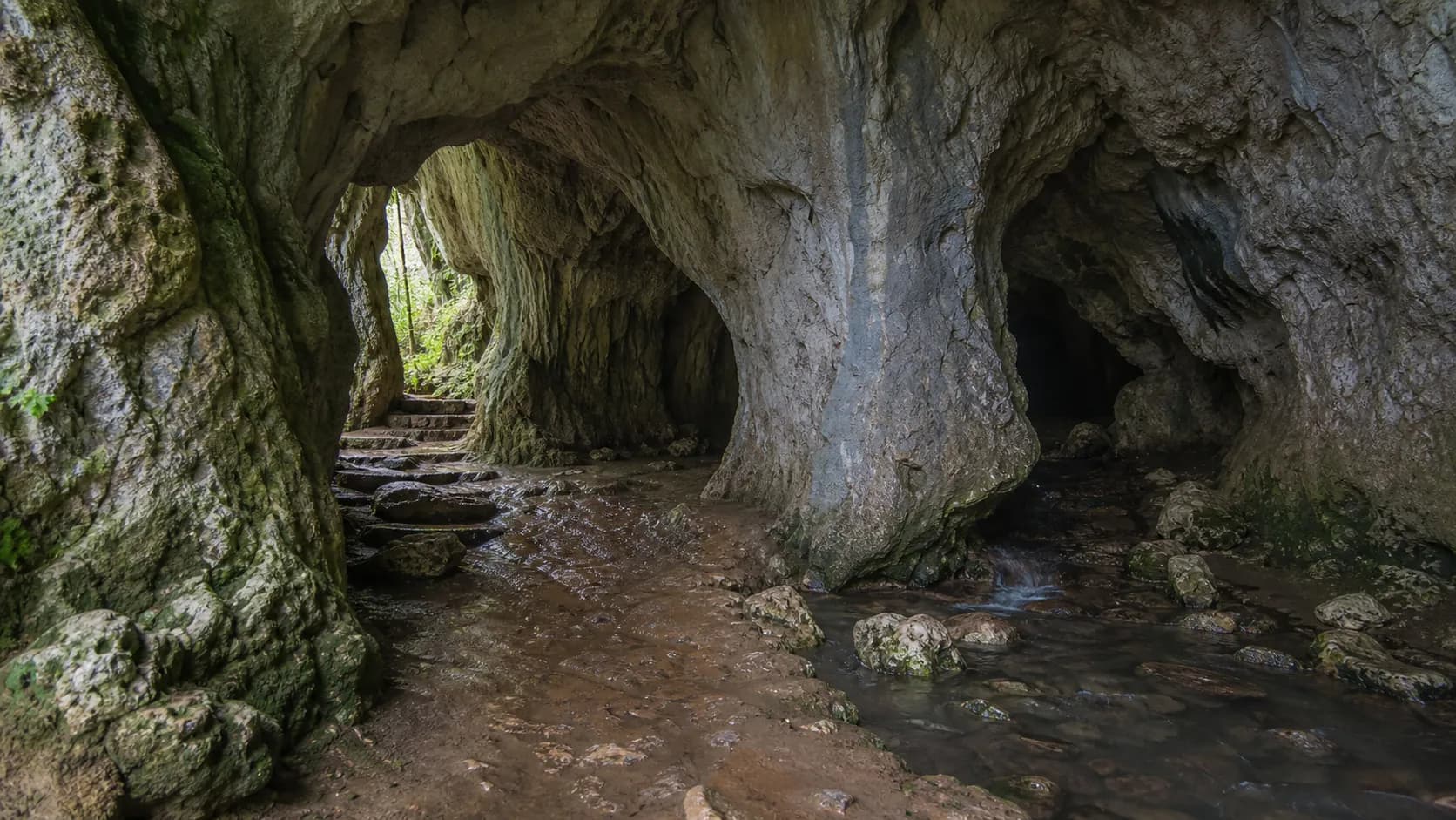 Abrskila Cave Damp Karst Entrance