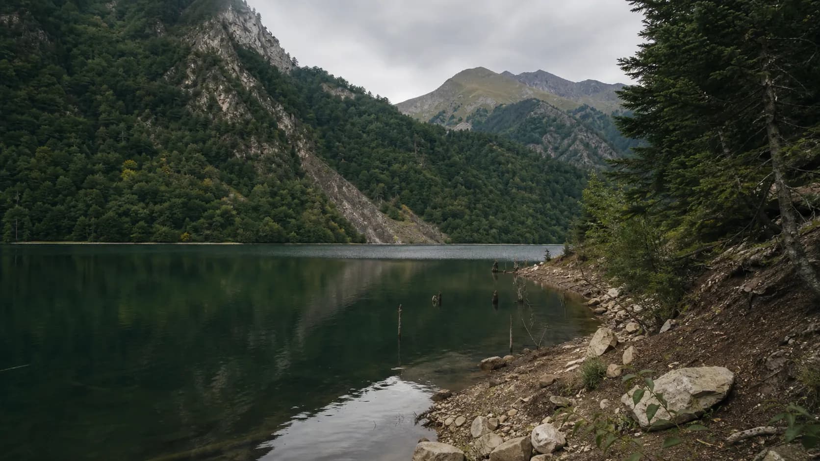Amtkel Lake Submerged Forest Shore