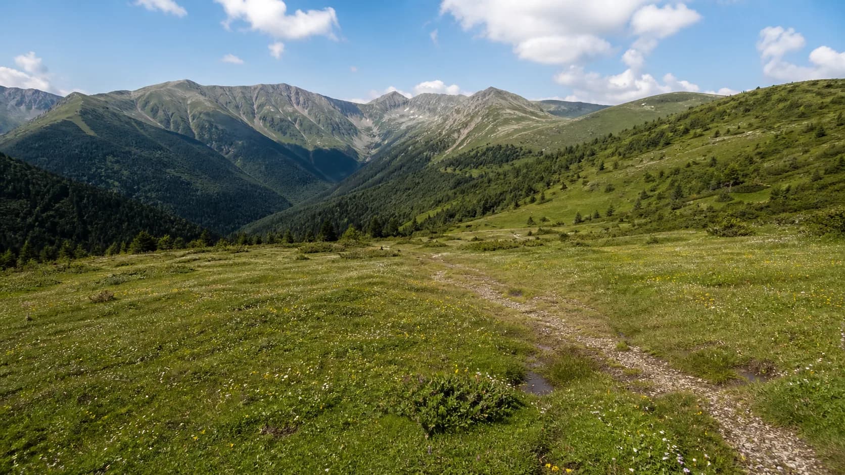 Auadhara Alpine Meadow Track