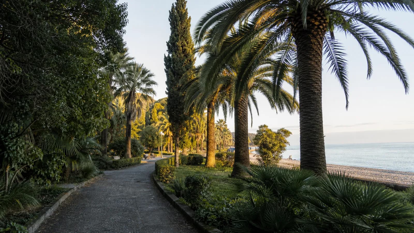 Gagra Seaside Park Palm Walk