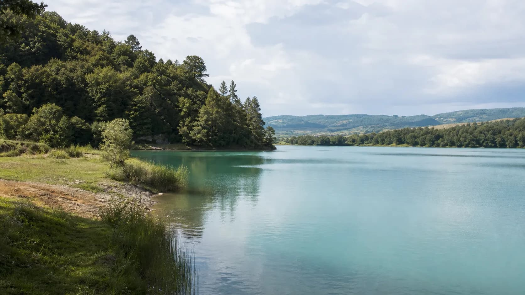Gal Reservoir Forested Shore