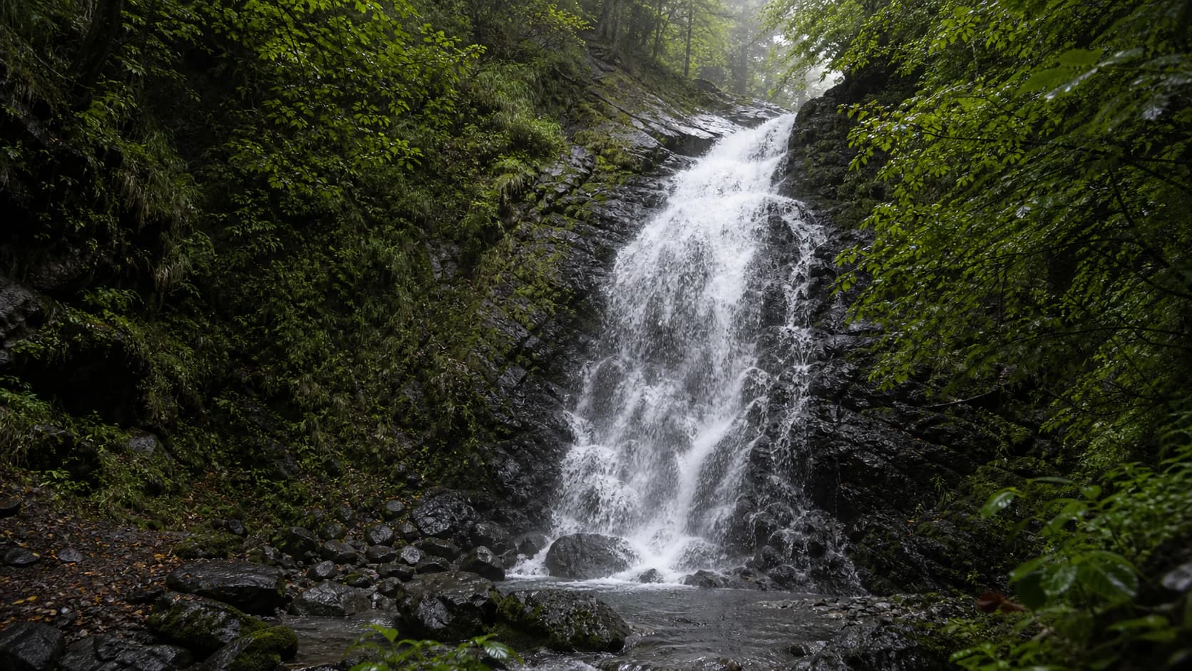 Molochny Waterfall Forest Rock