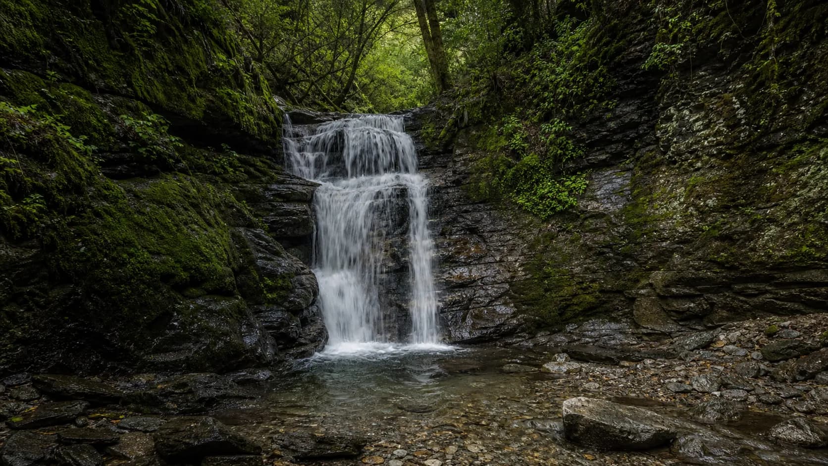 Otap Waterfall Mossy Forest Cascade