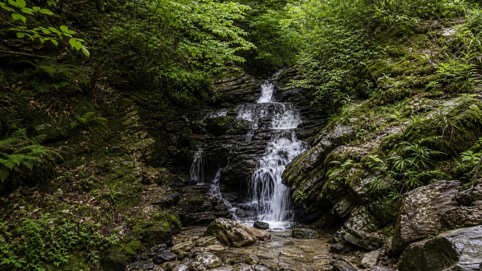 Ptichiy Waterfall Forest Cascade