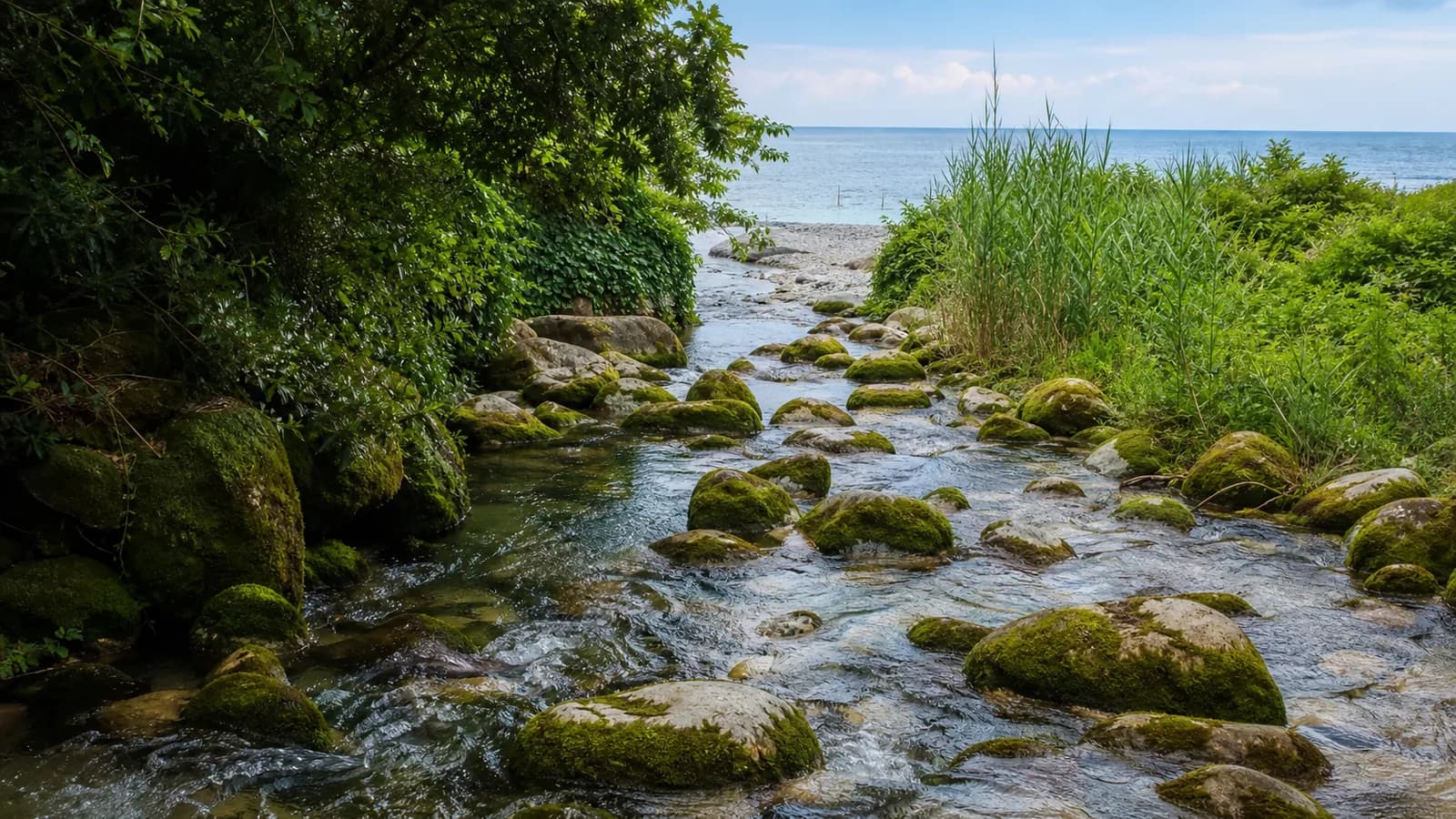 Reprua River Clear Spring