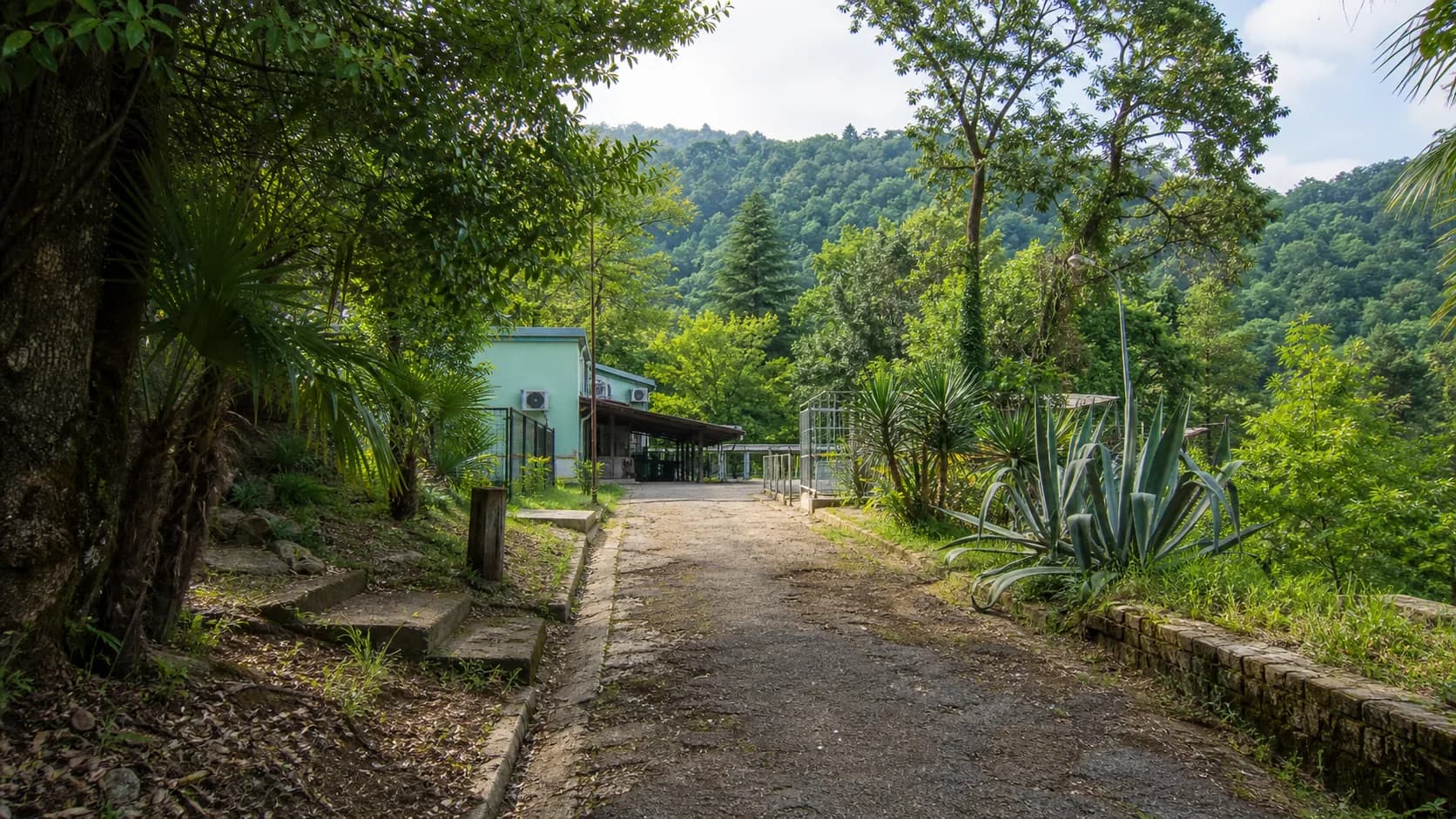 Sukhum Monkey Nursery Hillside Path