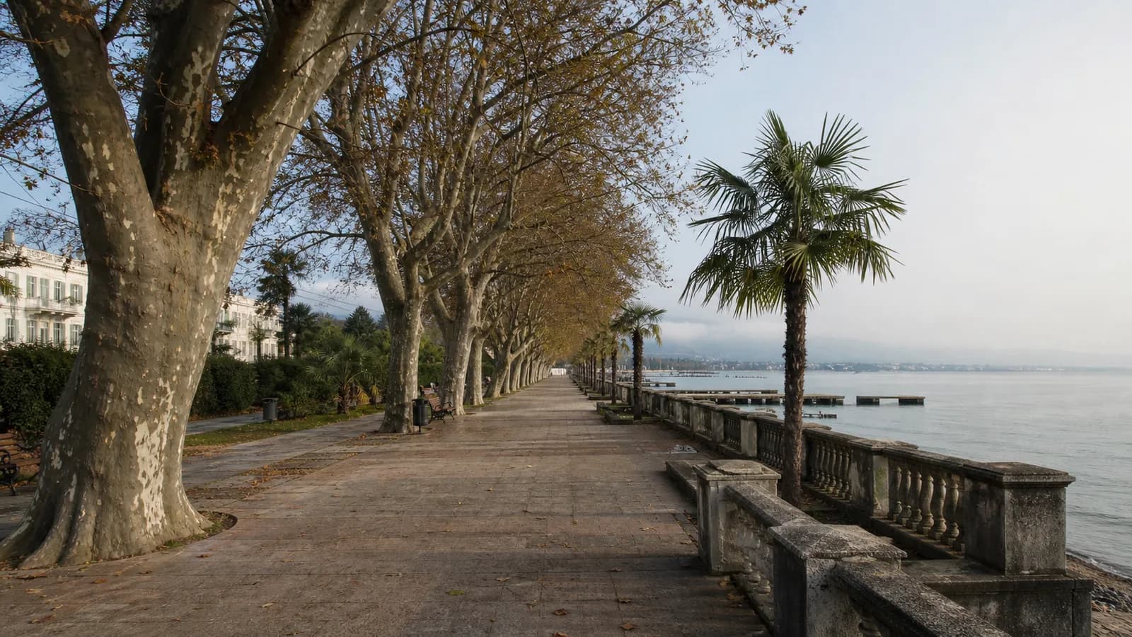 Sukhumi Seafront Promenade