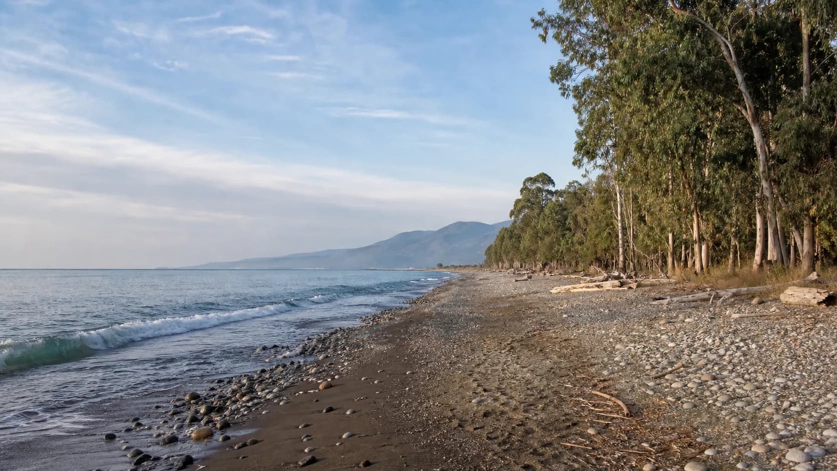Tamysh Beach Eucalyptus Shore