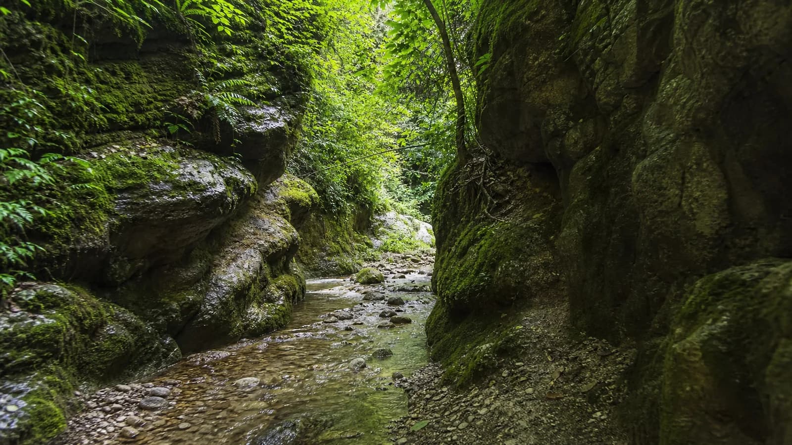 Zhoekvara Gorge Stream