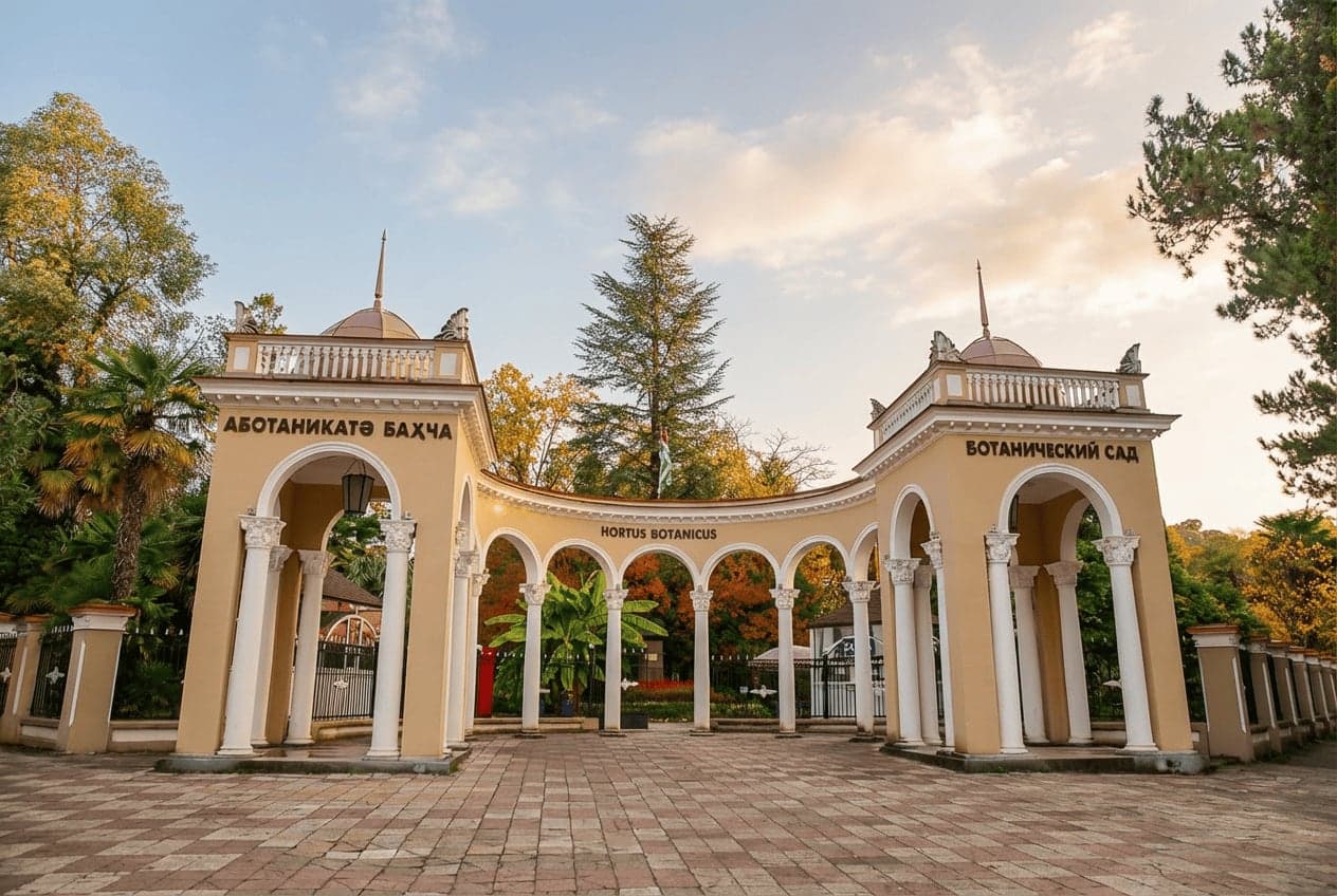 Сухумский ботанический сад, аллея